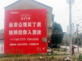 黄龙墙体广告在乡镇、农村市场的媒体优势