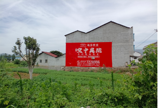 黄龙做墙体广告的意义