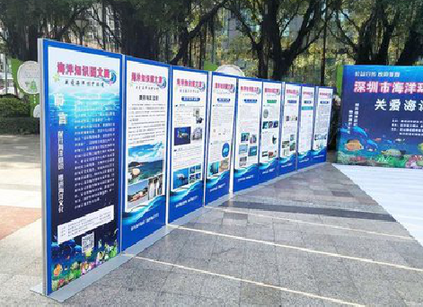 黄龙KT板的种类和知识。